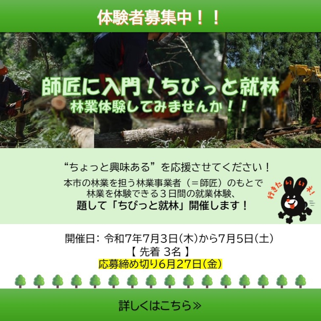 ちびっと就林