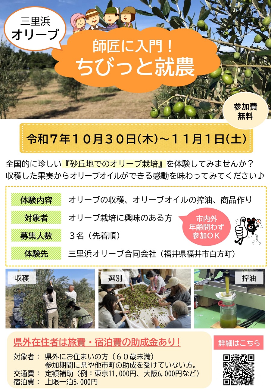 チラシ表